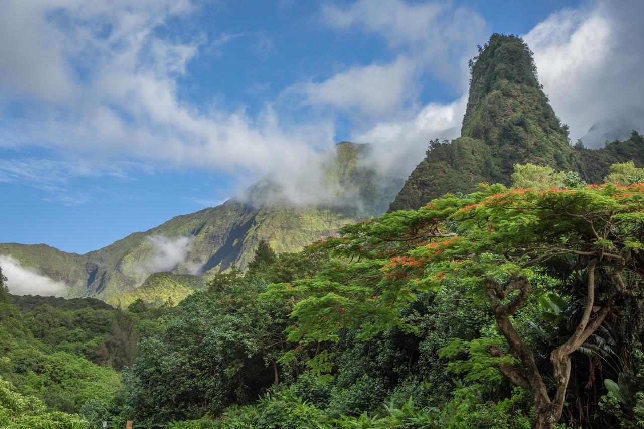 Central Maui Hostel Wailuku 외부 사진